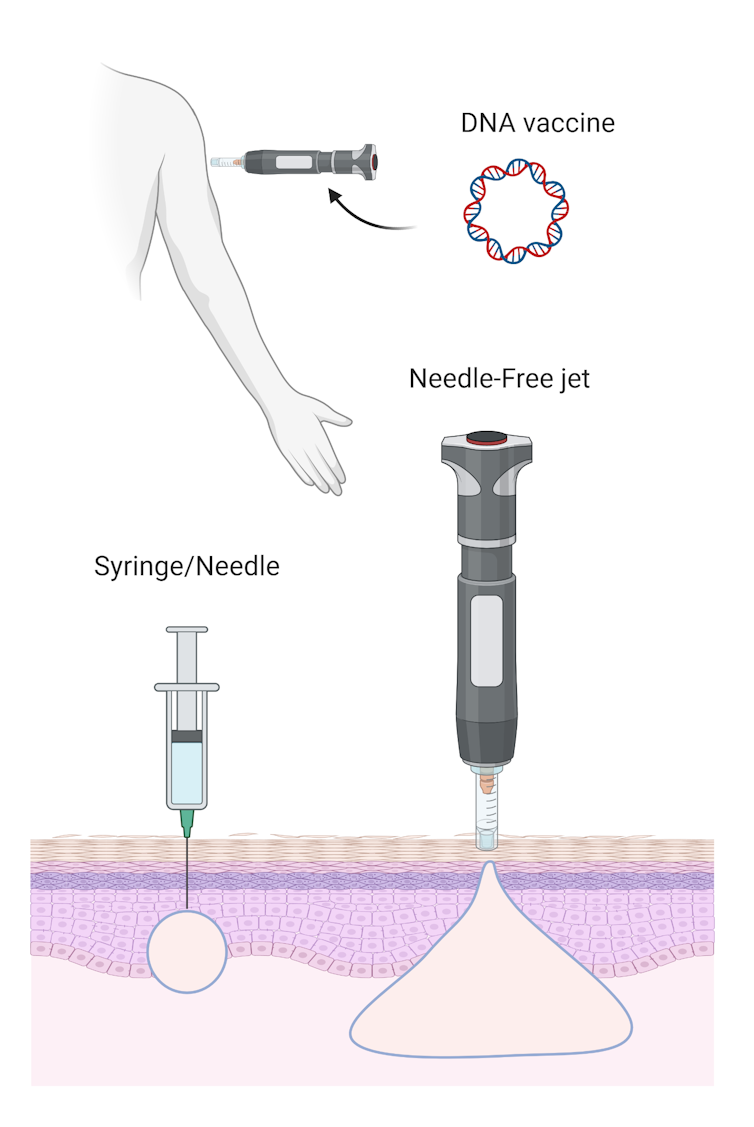 a look at the 3 Australian COVID vaccine candidates to receive a government boost