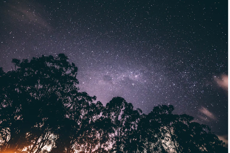 Stars in the night sky