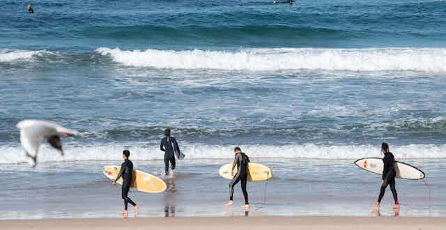 Surfers at Bondi Beach
