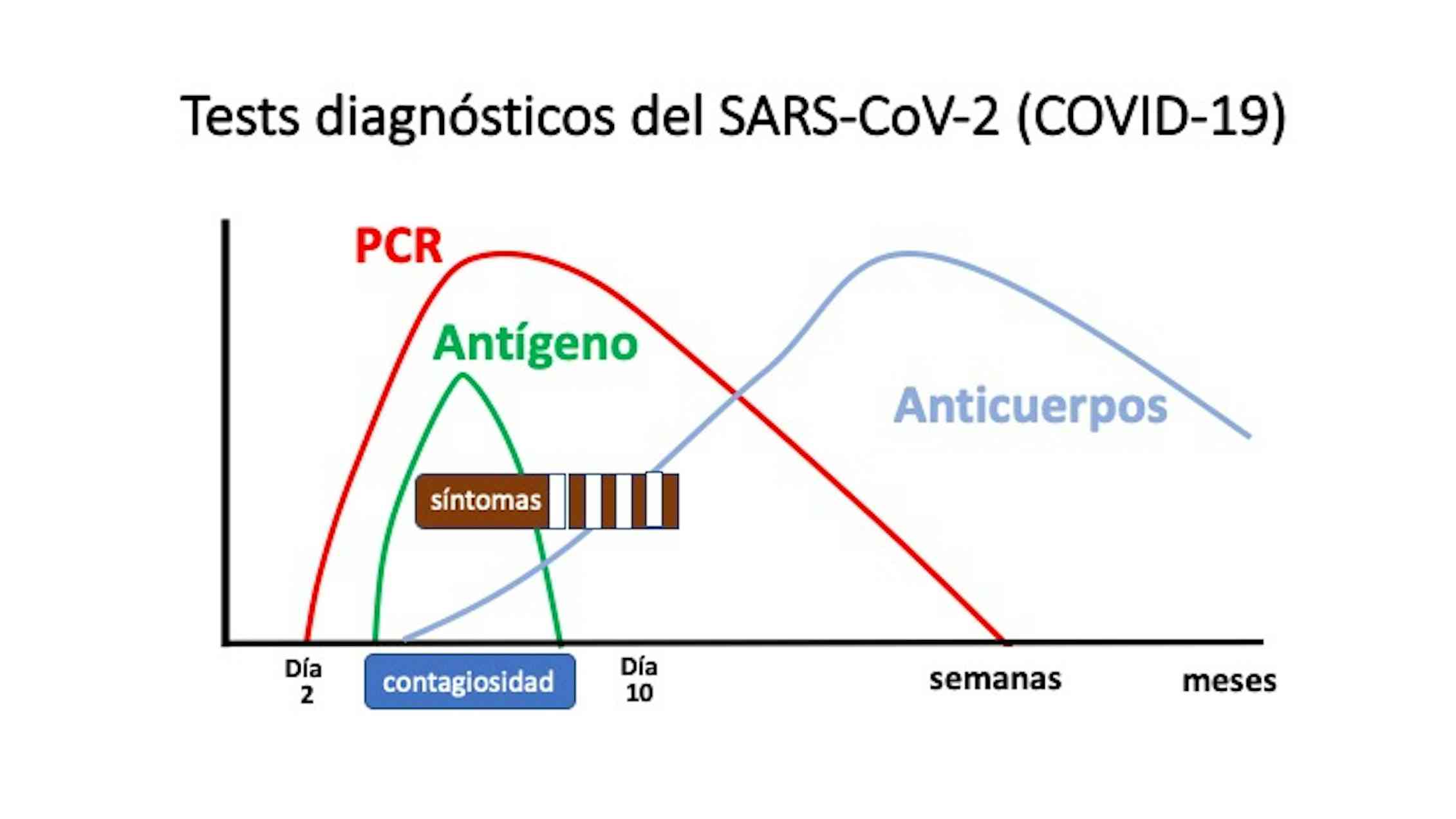 Test rápidos de antígeno para frenar la segunda ola de COVID-19