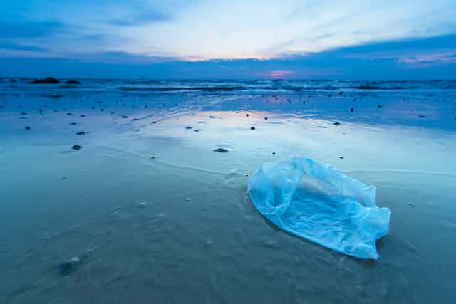 A plastic bag lies on a tropical beach.
