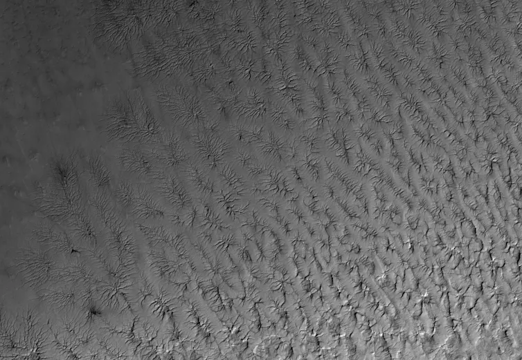 Image of Ultimi Scopuli, a region of Mars’s south polar ice cap.