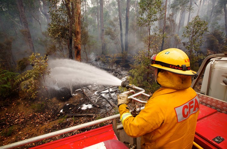 A volunteer firefighter hoses a forest.