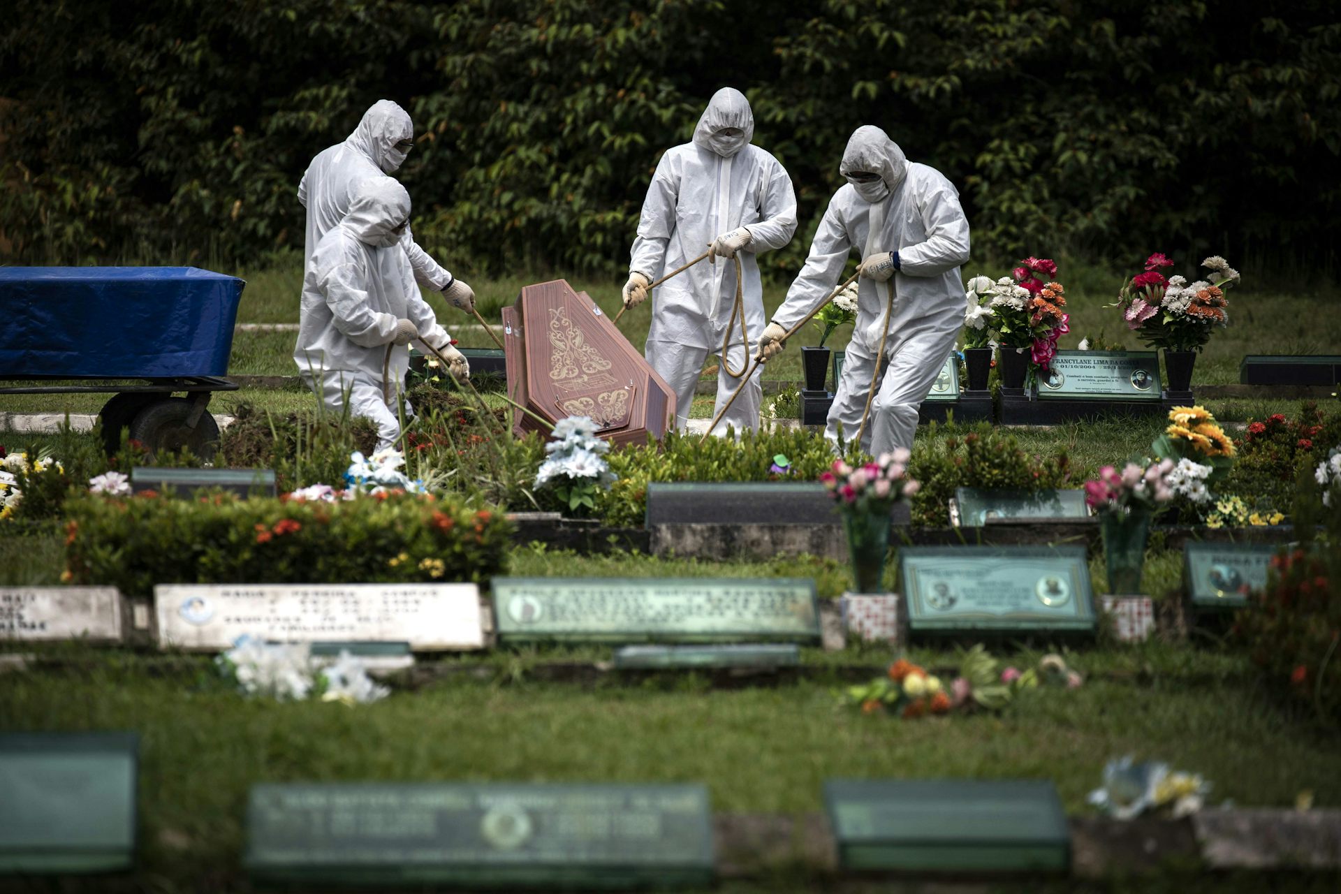 Колпинское кладбище для захоронения с коронавирусом