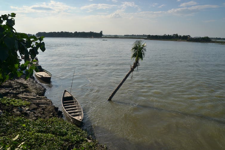 A wooden sailboat rests on a green bank next to a palm tree which has been overwhelmed by the rising water.