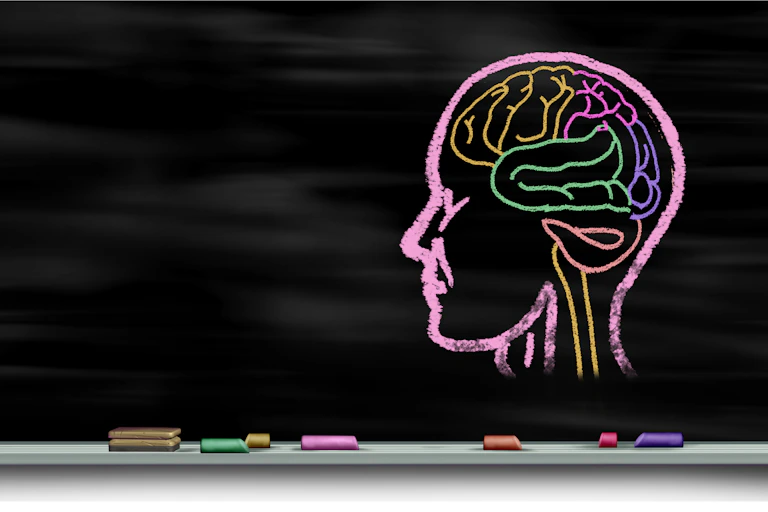 Cabeza y cerebro pintados en una pizarra con tizas de colores.