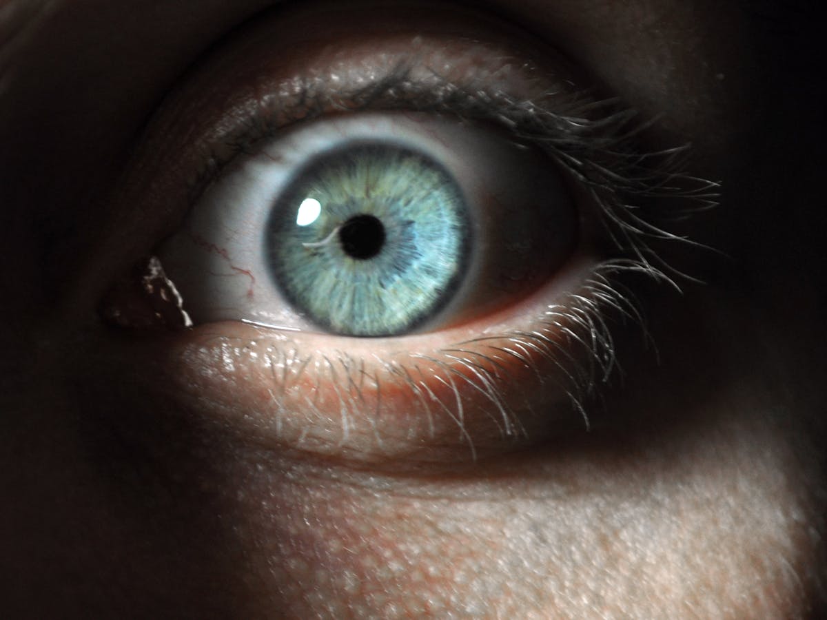 From Psychopaths To 'Everyday Sadists': Why Do Humans Harm The Harmless?