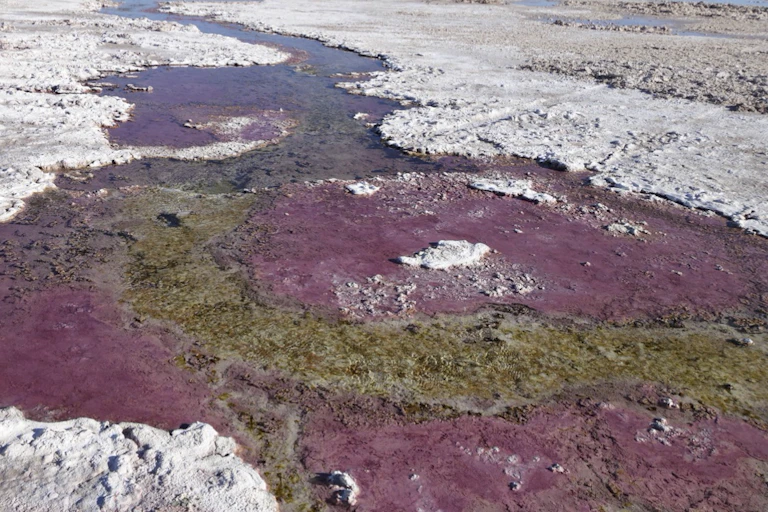 A purple stream winding through a gray, rocky plain.