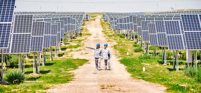 Two engineers stand in middle of solar farm