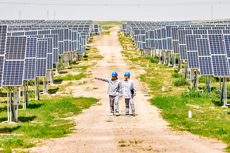 Two engineers stand in middle of solar farm