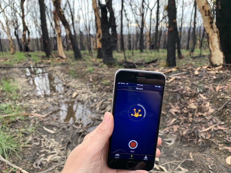 A hand holds a mobile phone displaying the FrogID app.