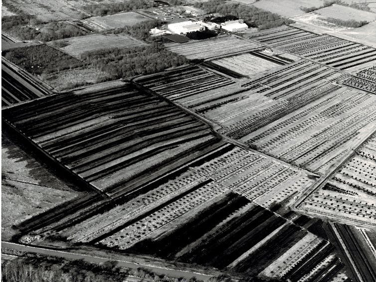 A black-and-white aerial photo of rural fields.