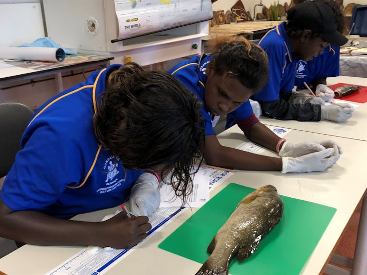 School of fish: how we involved Indigenous students in our investigation of a 65,000-year-old site