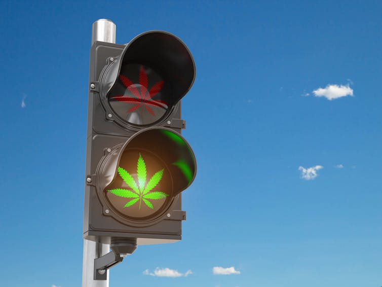 A traffic light showing a red stop cannabis leaf and a green go cannabis leaf.