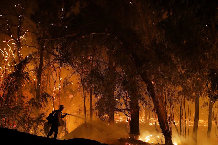 Silhouette of a firefighter in a forest aflame.