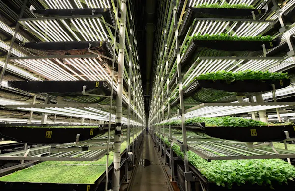 Agricultura urbana: ¡miedo en el campo!