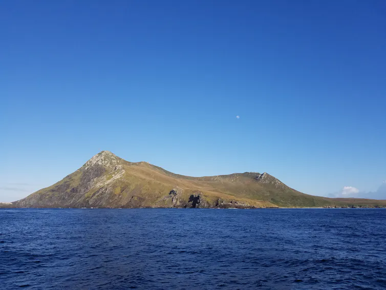 A view from a boat of Isla Hornos, a small mountainous island covered in greens and browns.