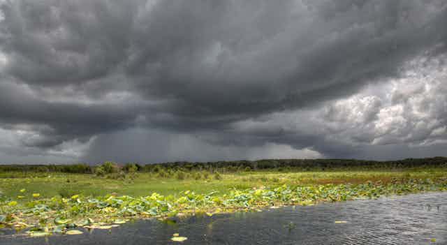 Dark storm clouds brewing over wetlands