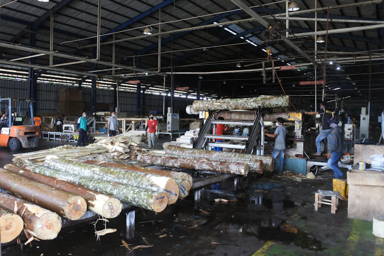 Belasan laki-laki berada di pabrik dengan gelondongan kayu