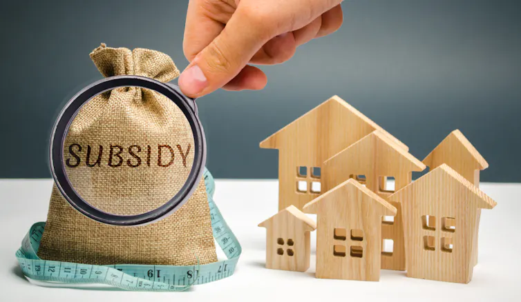 Subsidy bag under the magnifying glass