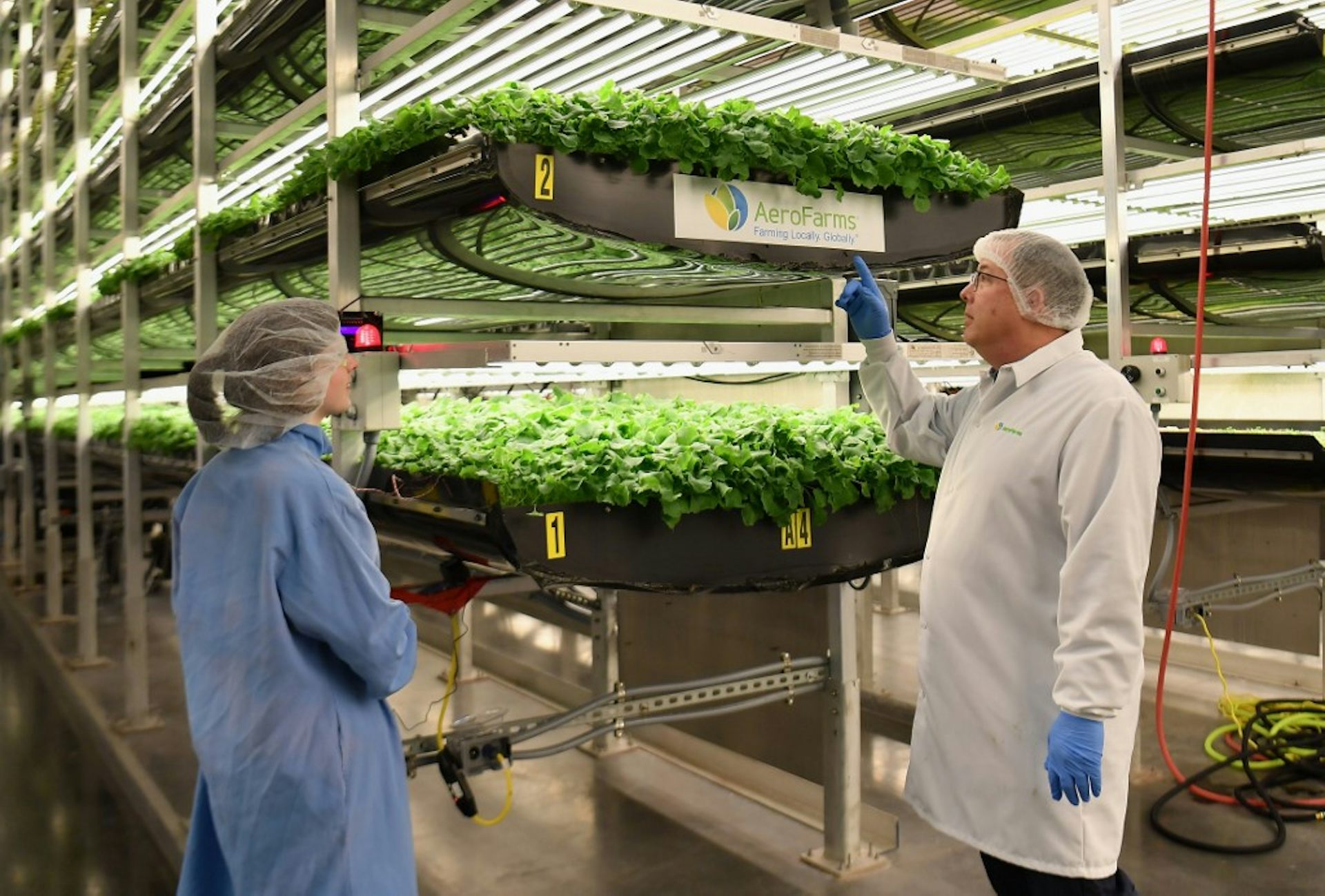 Agriculture urbaine : peur sur la campagne !