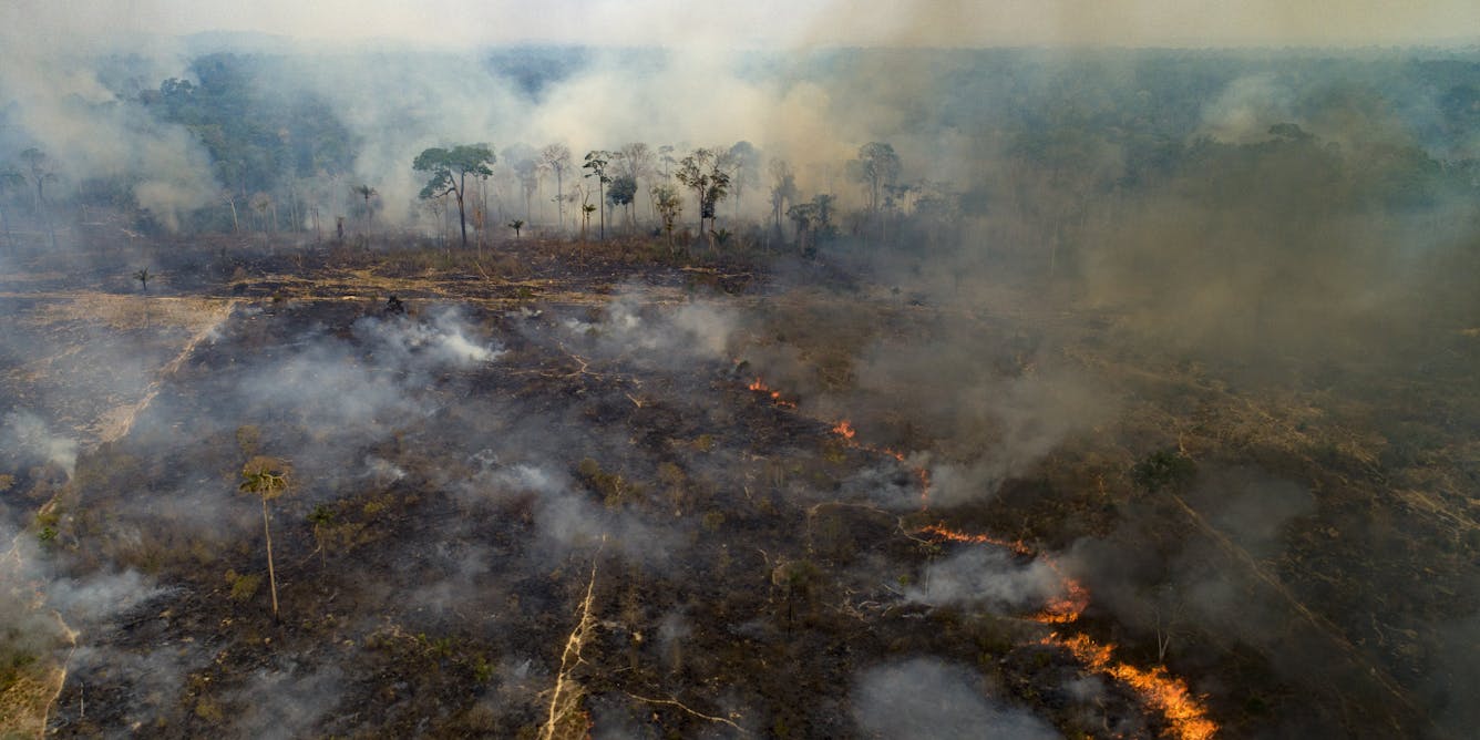Historic Amazon Rainforest Fires Threaten Climate And Raise Risk Of New Diseases