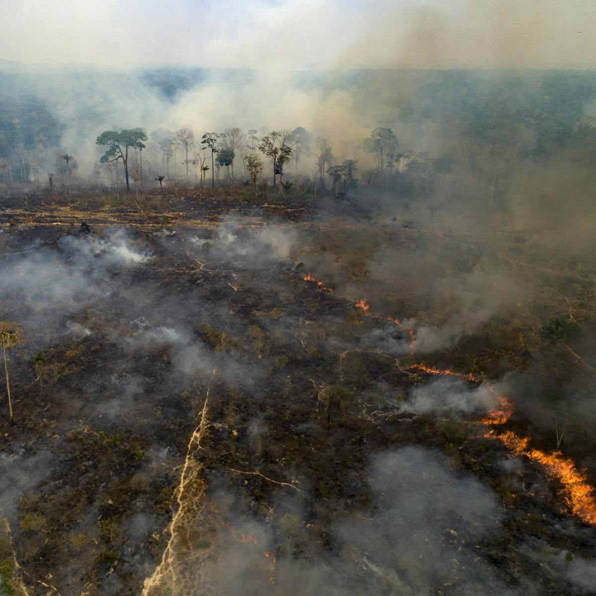 Historic Amazon Rainforest Fires Threaten Climate And Raise Risk Of New Diseases