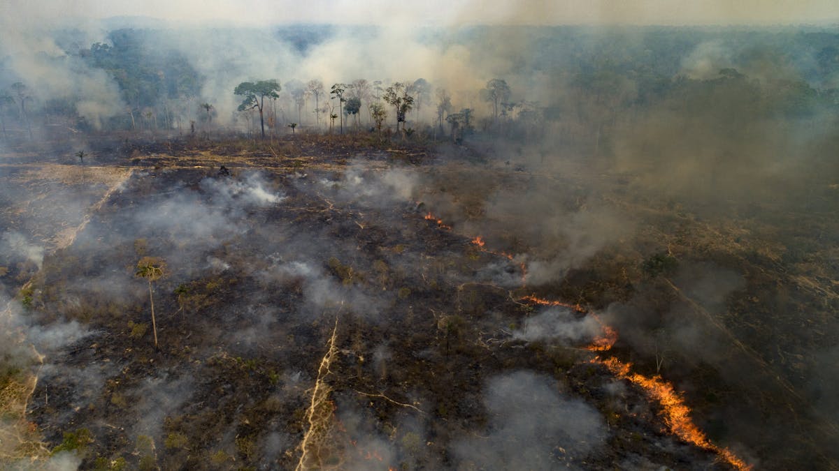 Historic Amazon Rainforest Fires Threaten Climate And Raise Risk Of New Diseases Historic Amazon Rainforest Fires Threaten Climate And Raise Risk Of New Diseases