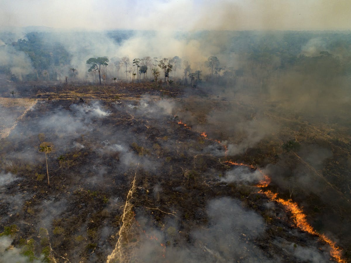 Historic Amazon rainforest fires threaten climate and raise risk of new  diseases