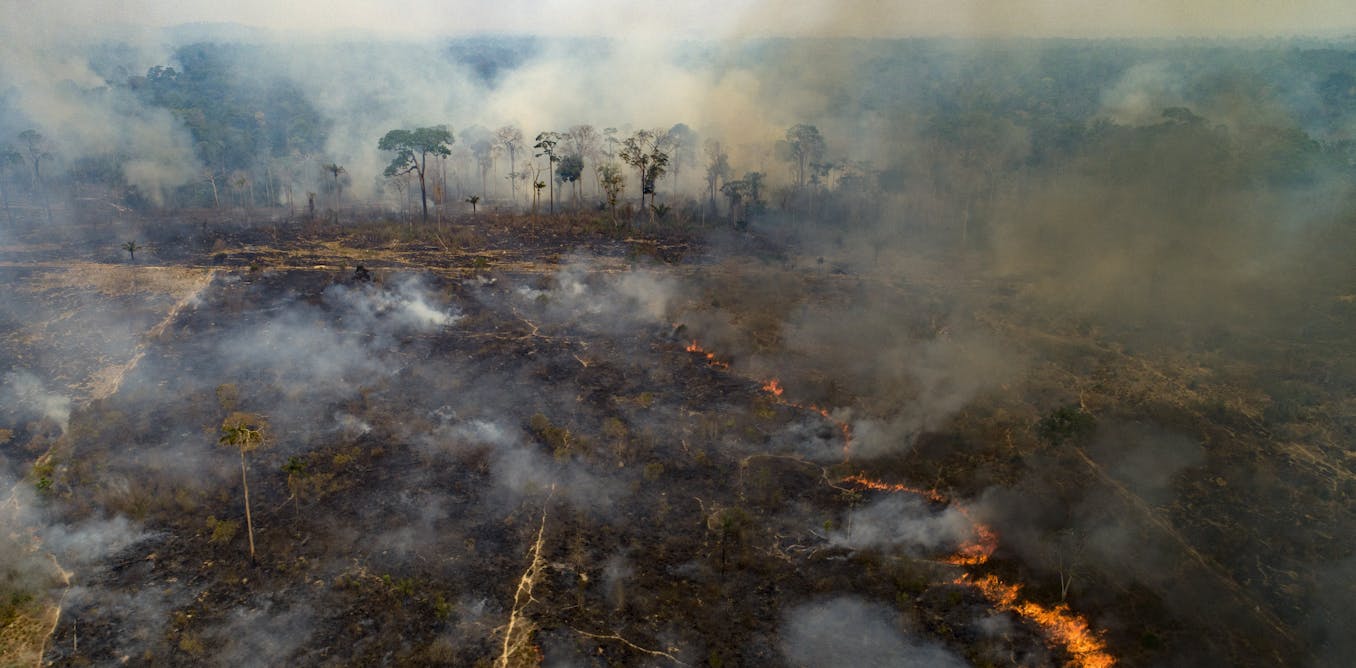 Historic Amazon Rainforest Fires Threaten Climate And Raise Risk Of New Diseases Historic Amazon Rainforest Fires Threaten Climate And Raise Risk Of New Diseases