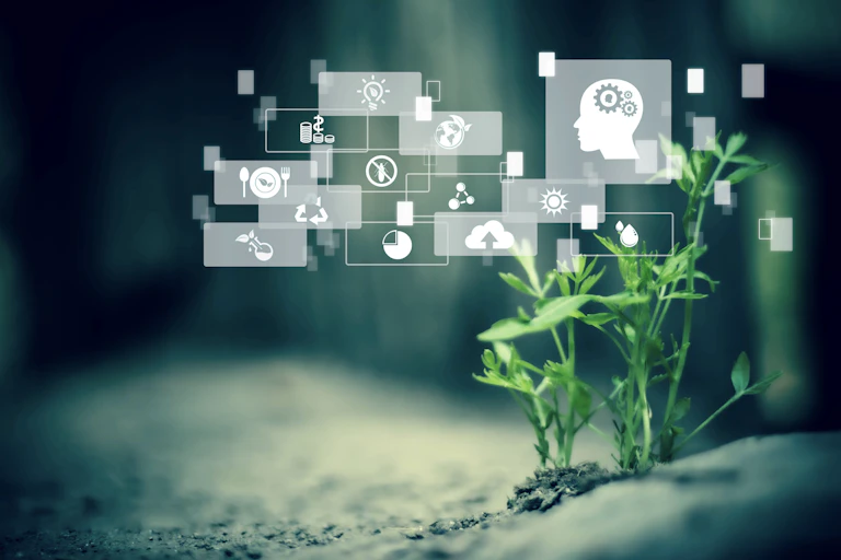 Montage with plants and symbols