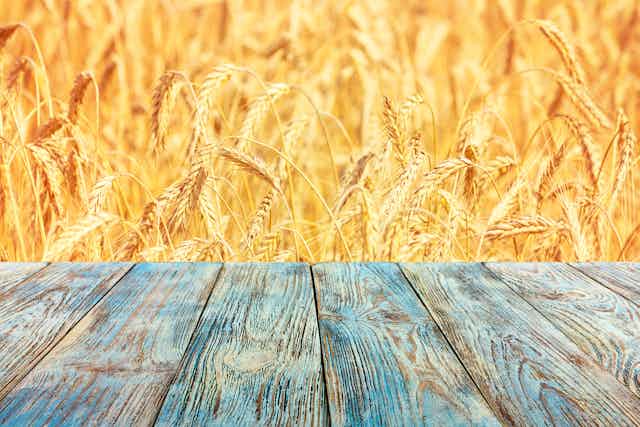 Cereales en el campo, delante de una mesa de madera