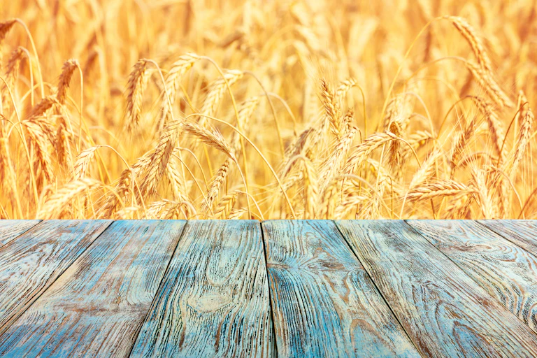 Cereales en el campo, delante de una mesa de madera