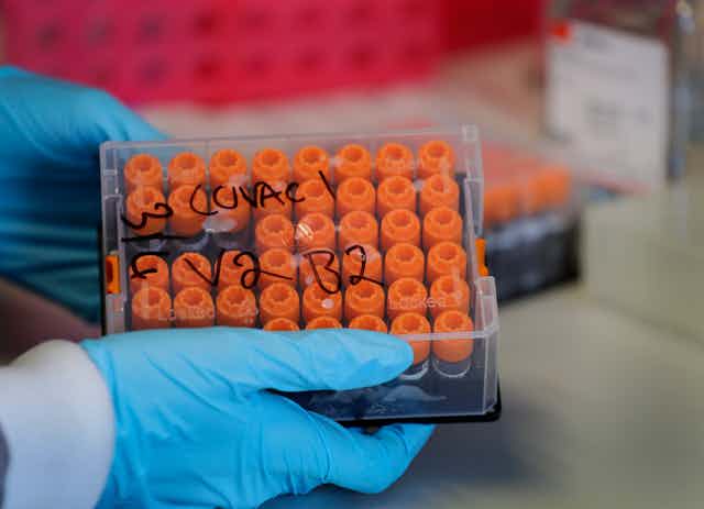 Hands in blue protective gloves handle a plastic case filled with rows of orange-topped vials.