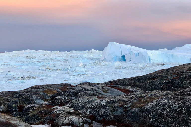 Ice and large icebergs completely covering a fjord with bare rock in the foreground.