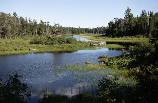 Boundary Waters lake with forested edges