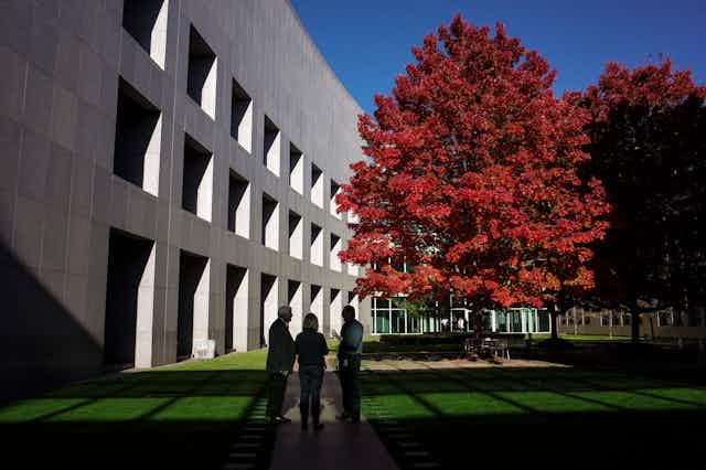 The budget tree, in the parliament courtyard