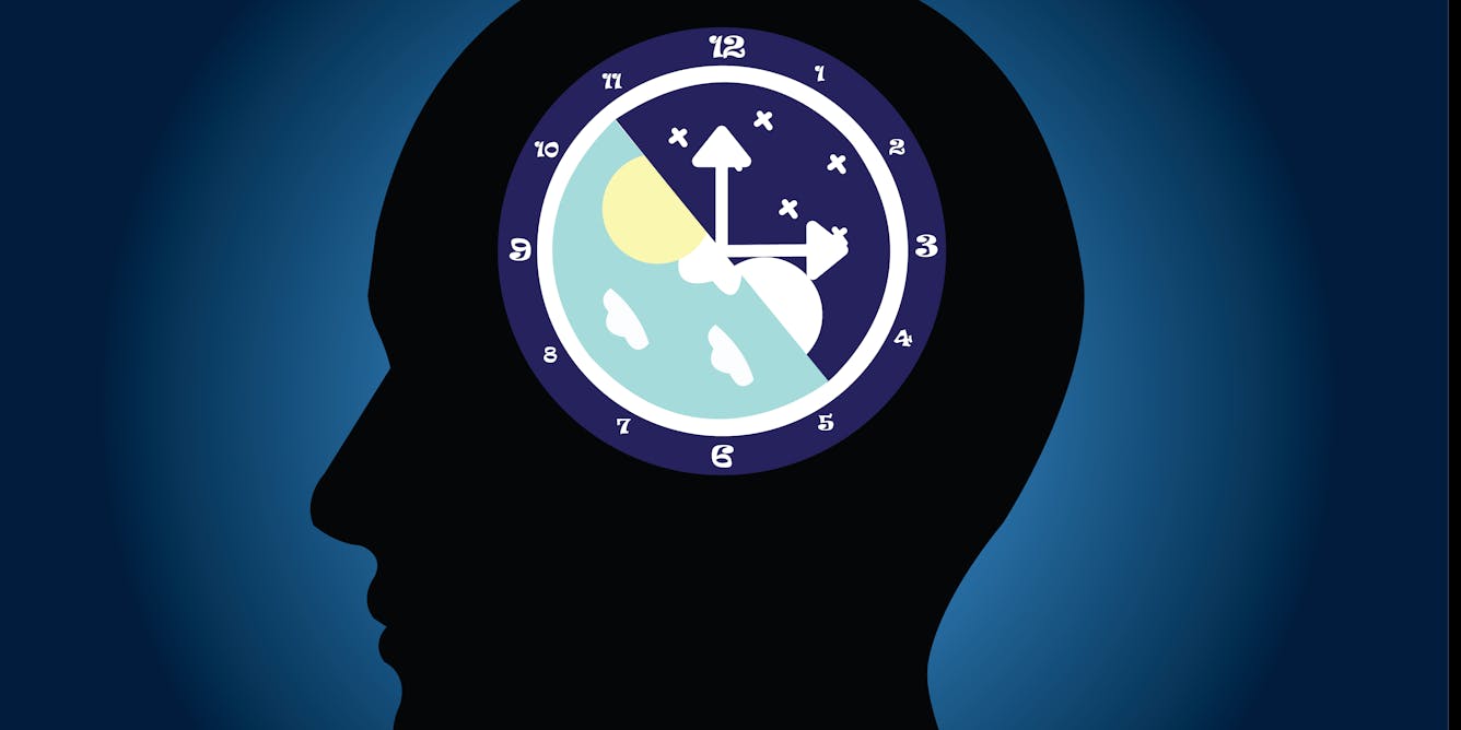 Circadian rhythm: liver gene helps body keep working smoothly after late nights and midnight snacks