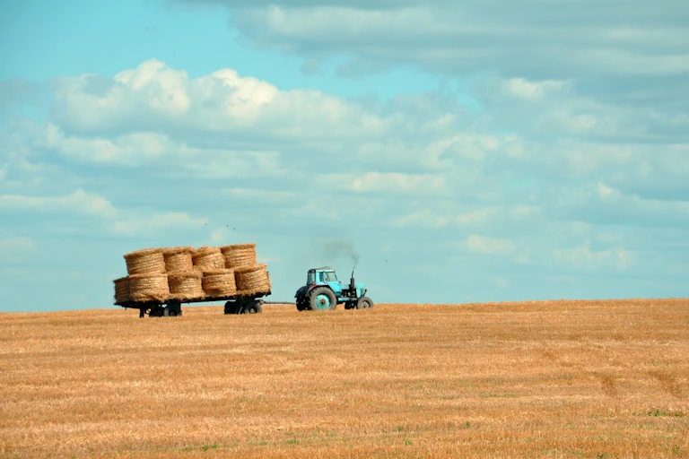 Tractor pulling haybales across a yellow field.