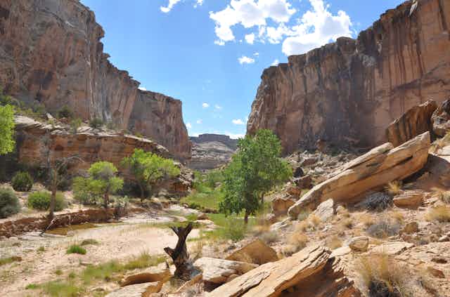 View through canyon area in Utah