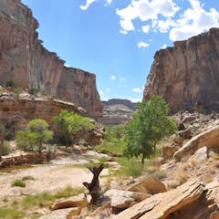 research paper about oil exploration