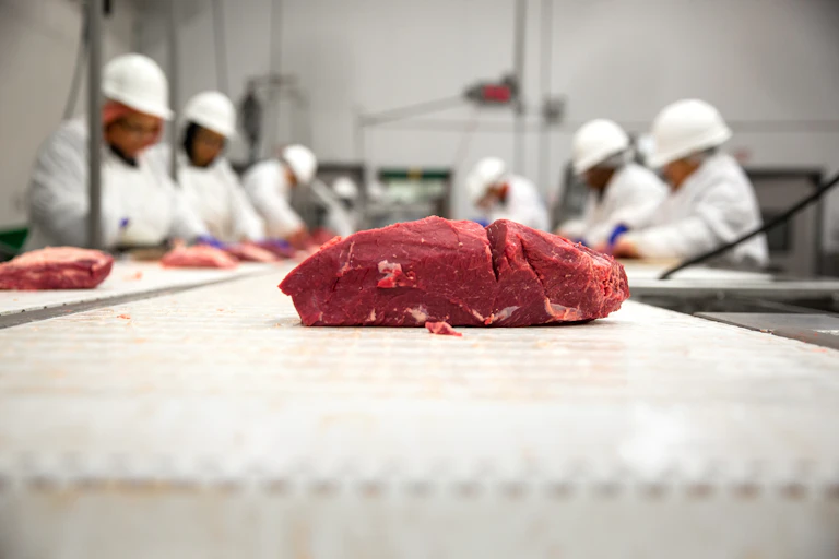 Meat works processing line.