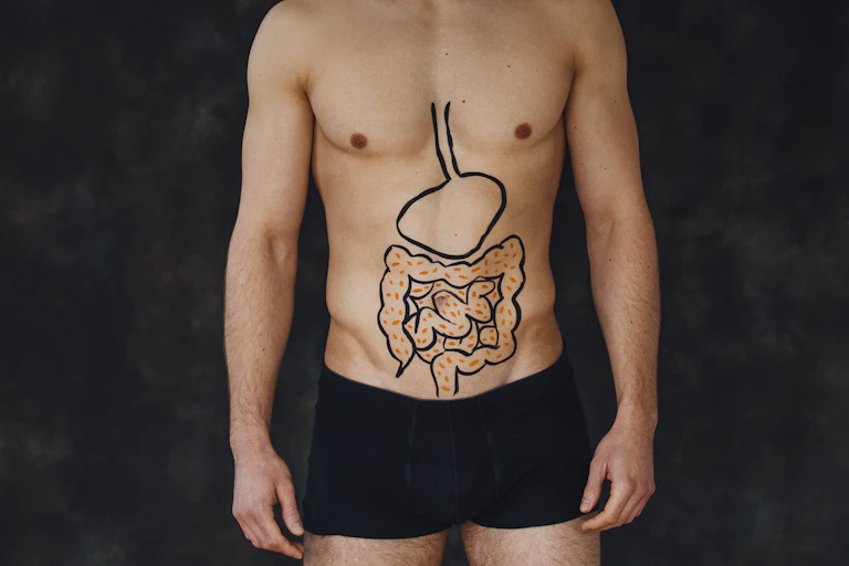 Estómago e intestinos dibujados en el torso de un hombre.