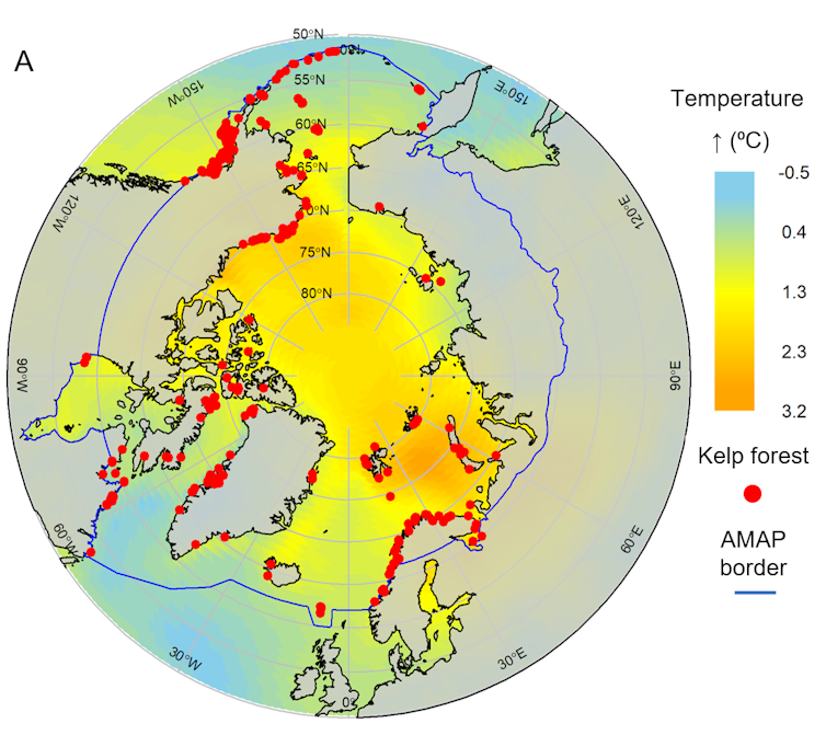 Mapa del Círculo Polar Ártico en el que se muestra cómo se expandirán los bosques de algas kelp hacia el norte a medida que avance el calentamiento global.