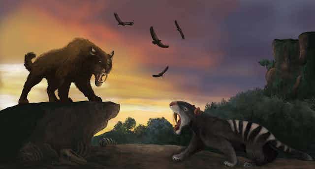 Two fierce-looking prehistoric mammals growl at each other.