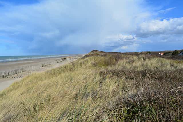 A Oye-Plage aux Ecardines, les bunkers, autrefois sur la digue, sont maintenant en haut de plage. Les maisons sont juste derrière le cordon dunaire.