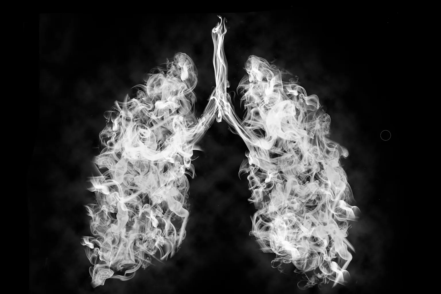 how many milligrams are in one cigarette How Many Milligrams of Nicotine in One Cigarette? how many milligrams are in one cigarette How Many Milligrams of Nicotine in One Cigarette?