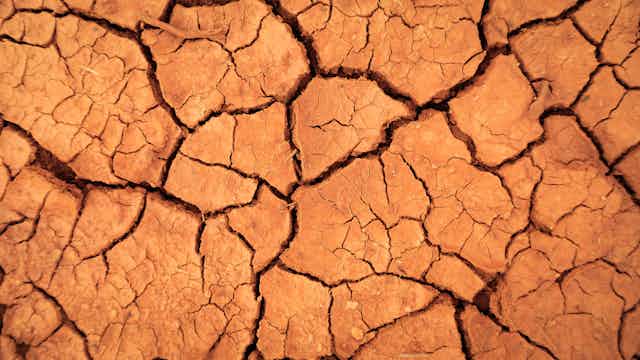 Cracked red earth