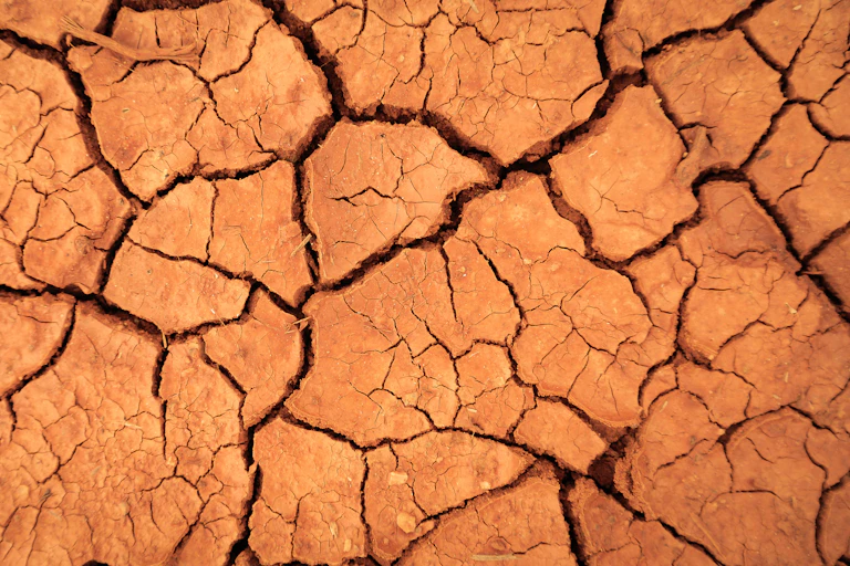 Cracked red earth