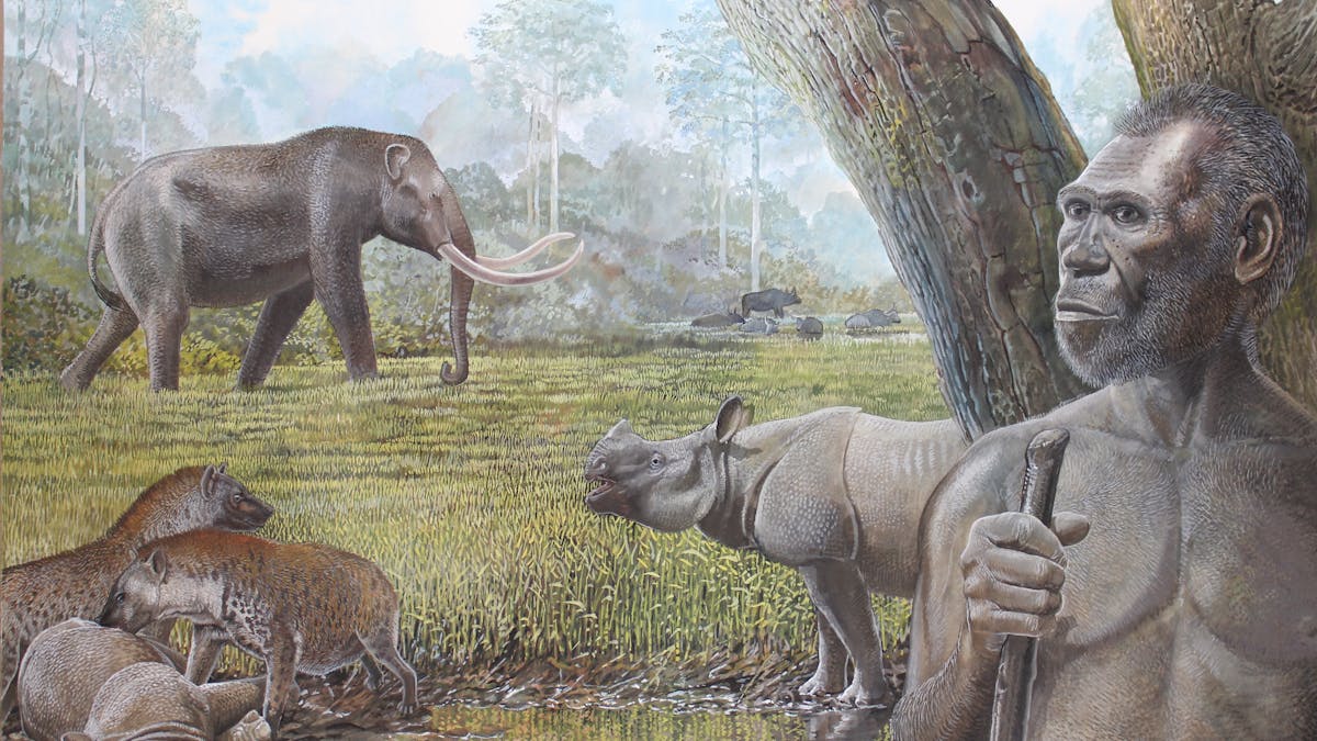 It was growing rainforests, not humans, that killed off Southeast Asia's  giant hyenas and other megafauna